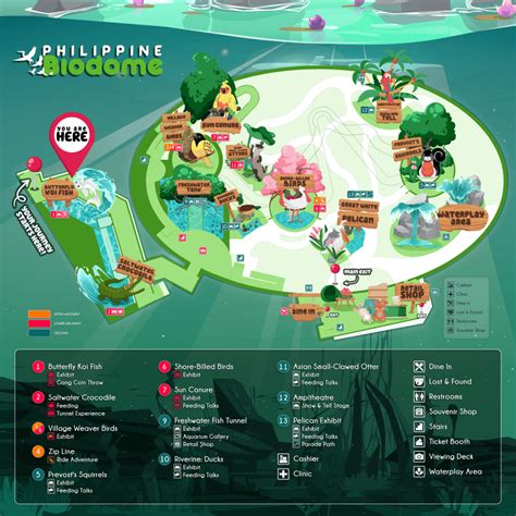 manila ocean park rates|What You Need To Know Before You Visit Manila .